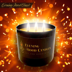 Orange Explosion<br><font color="gray">Black Edition</font><br>