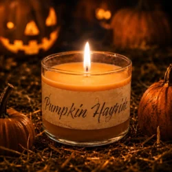MINI <br> Pumpkin Hayride<br><font color="#FF7518">👻 Spooky Season👻</font>